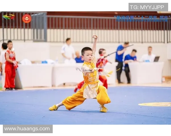 武术传承与创新：探讨传统武术与现代搏击技巧的融合与发展